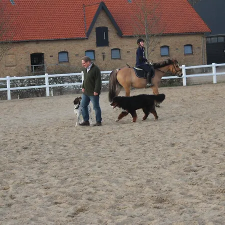 Louiselund Bed & Breakfast Haderslev