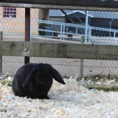 Louiselund Couette-café 3*