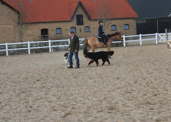 Louiselund Bed & Breakfast Haderslev