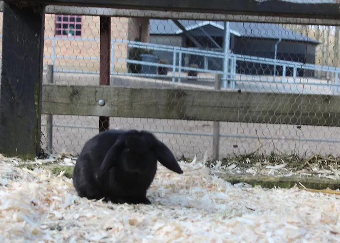 Louiselund Bed & Breakfast 3*